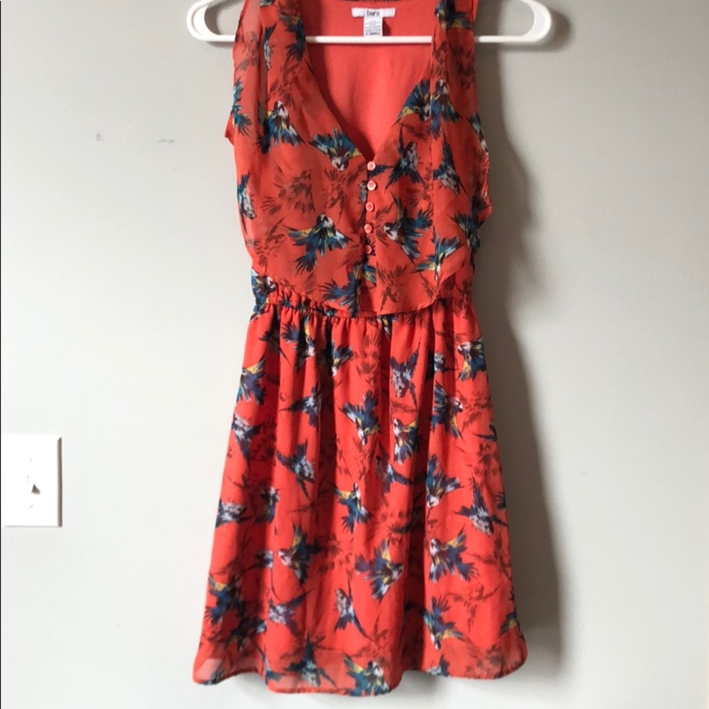 Cute lined spring dress with bird print!